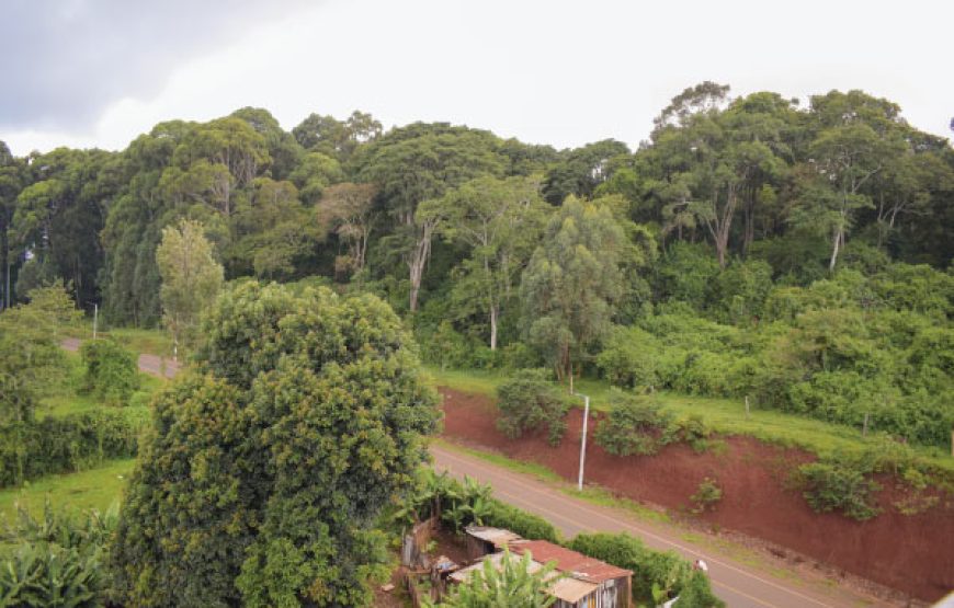 Marvel Homes Rental – Unit A