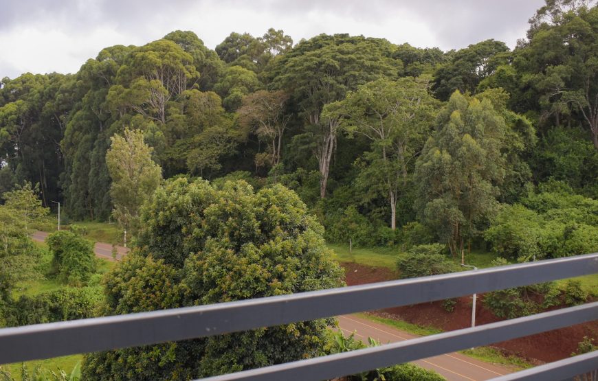 Marvel Homes Rental -Unit B